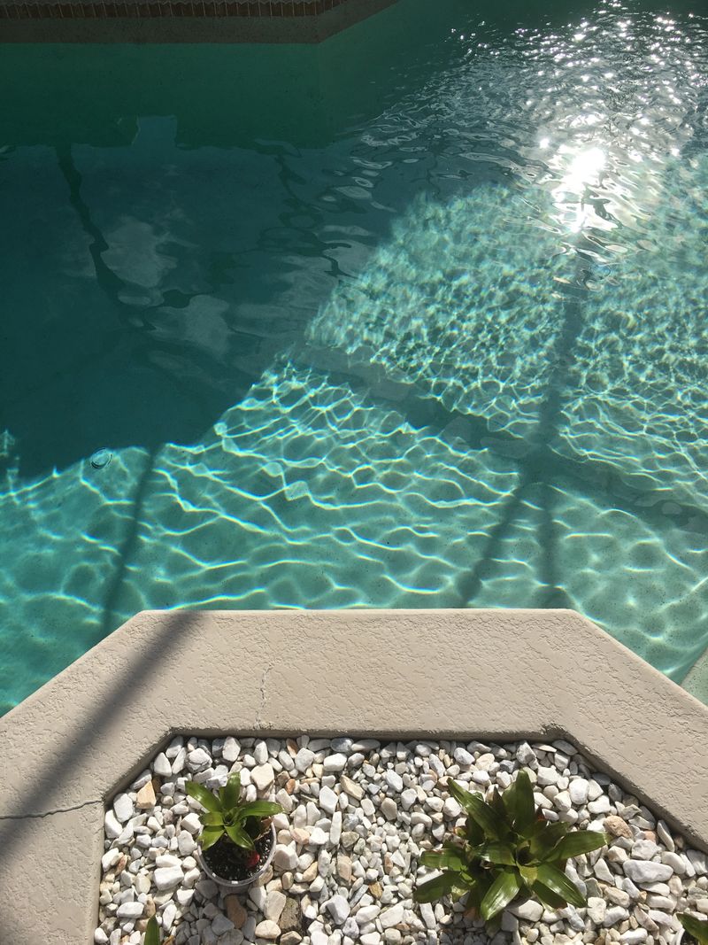 Birds eye top down view of pool with cactus and stones