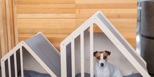 A dog sits comfortably in a dog den.  In the den is a bed.