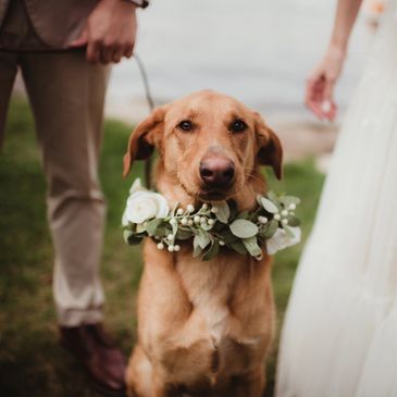 Bodas exclusivas y únicas en Sevilla y Huelva