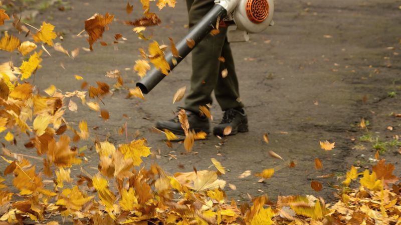 A street cleaner blows autumn leaves off a sidewalk with a leaf blower. Motion blur.