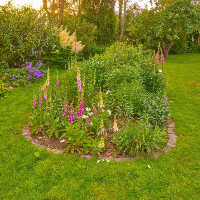 Beautiful garden captured during summer with vibrant blooming flowers and lush greenery. The scene showcases a centerpiece flowerbed surrounded by well-maintained grass, creating a serene outdoor space filled with life and color.