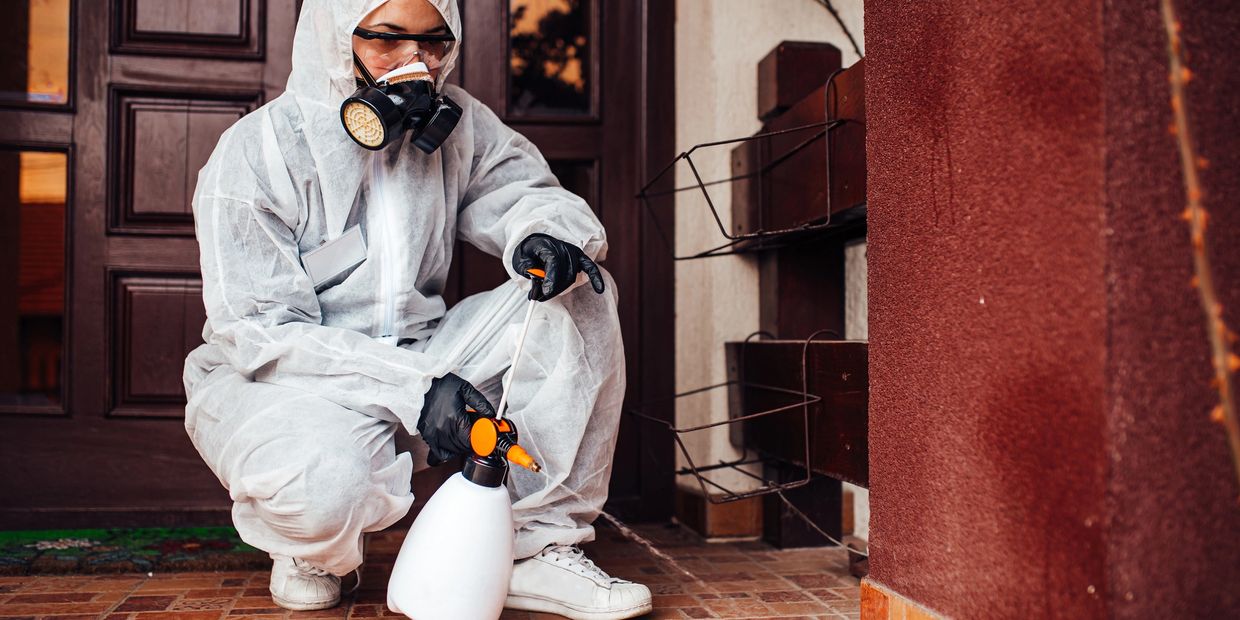 Bed bug elimination service professional working on a hotel in Jackson Hole, WY.