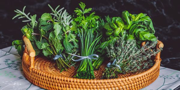 Herbs for  holistic overall health