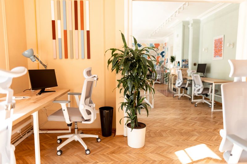 Coworking space with ergonomic chairs, natural light, and decorative plants fostering a positive and productive atmosphere for freelancers and entrepreneurs