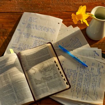 Study setup with notes, books, pen, and a yellow flower in sunlight.