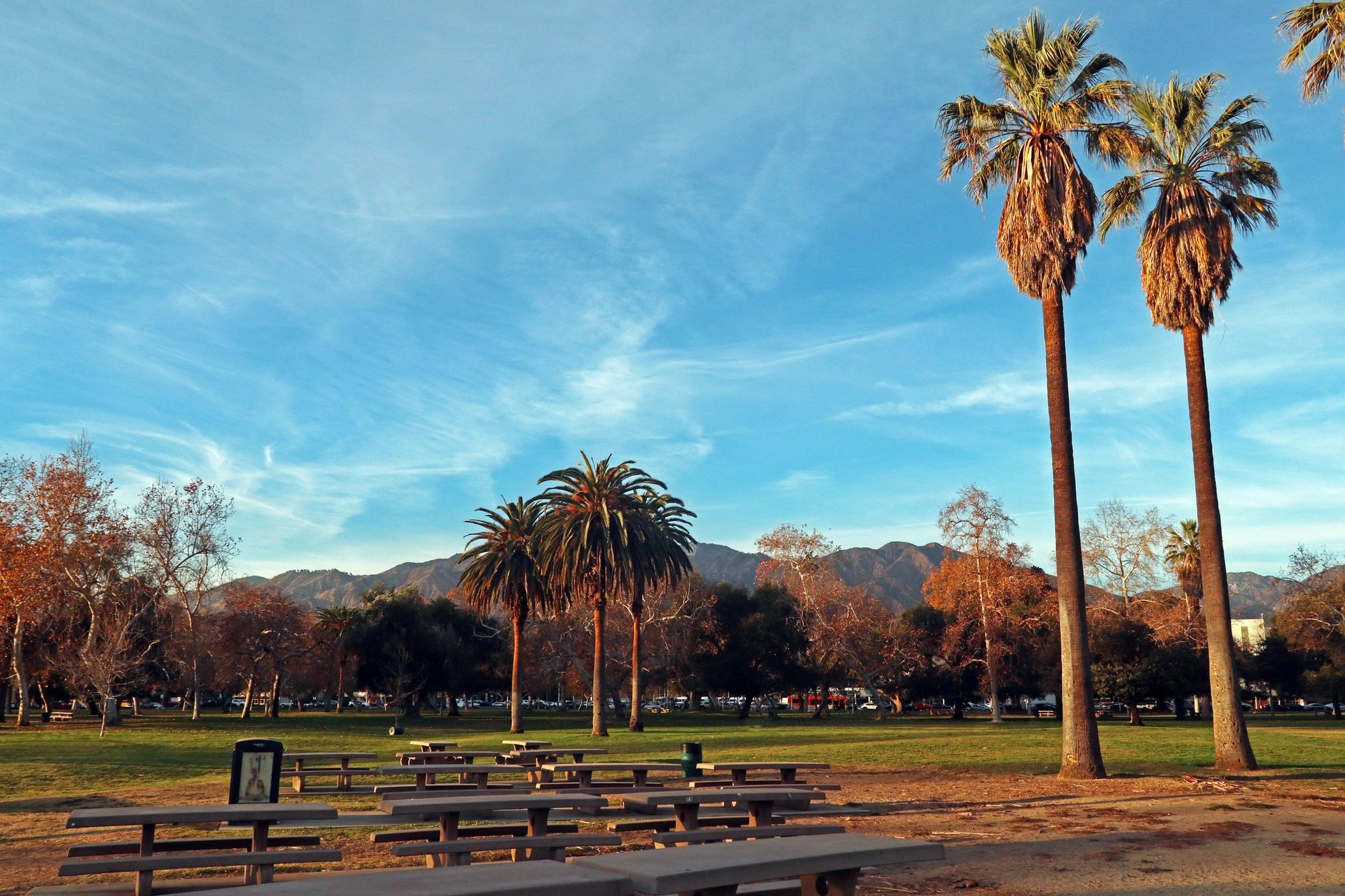 Park in Arcadia, California