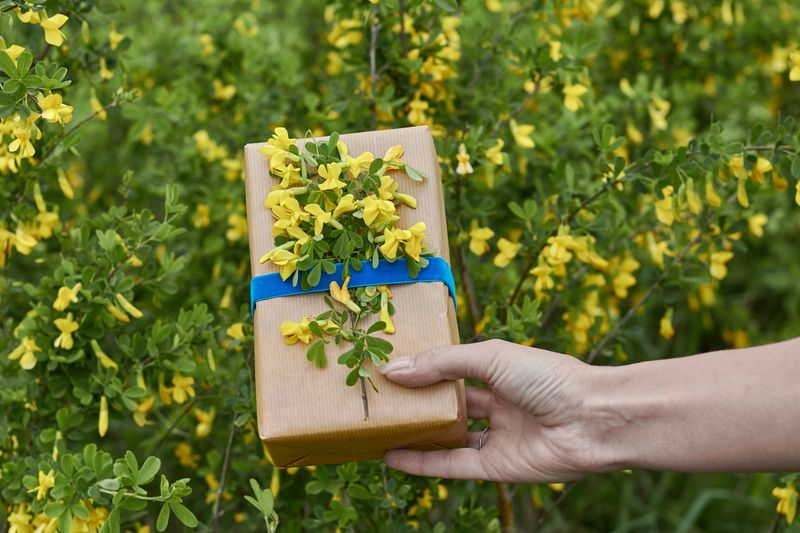 A hand holds a beautifully wrapped gift adorned with yellow flowers, set among vibrant green foliage under bright sunshine.