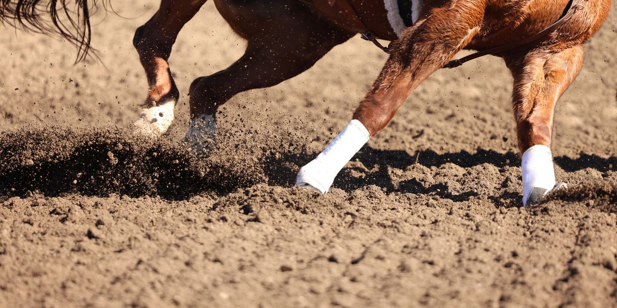 Close-up of a horse's legs kicking up dirt during a race.