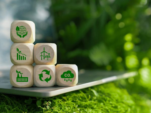 Wooden blocks with green eco-friendly icons on a laptop keyboard in a natural setting.