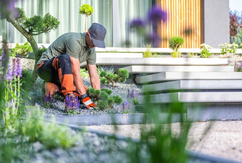 A gardener is kneeling on the ground, carefully tending to small plants and flowers in a beautifully designed garden. Sunlight enhances the vibrant colors of the landscape.
