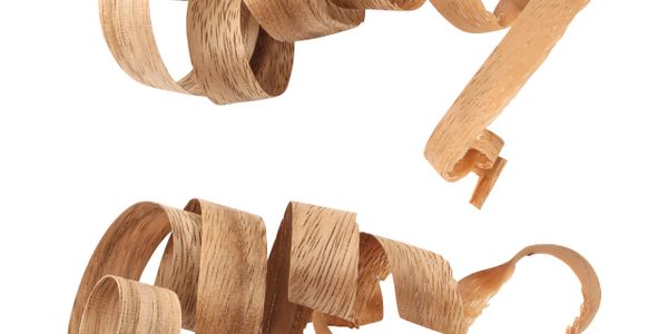 Wood shavings curled into spirals from woodworking.