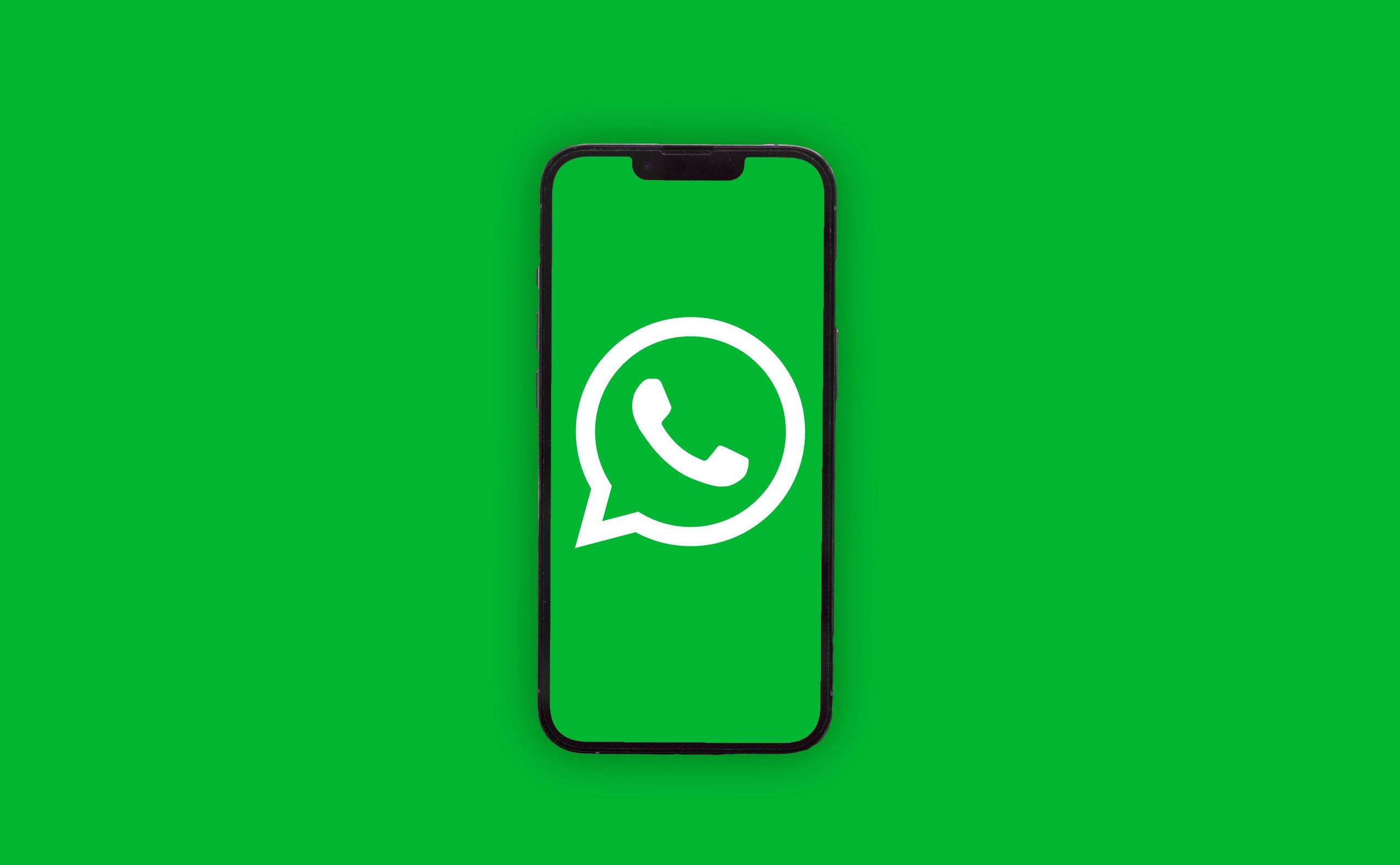 WHATSAPP app icon on smartphone screen over green background. ADANA-TURKEY - FEBRUARY-26-2025