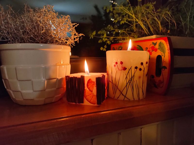Three decorative candles, including one with dried orange slices, glow warmly on a wooden surface surrounded by plants. A cozy, intimate indoor setting