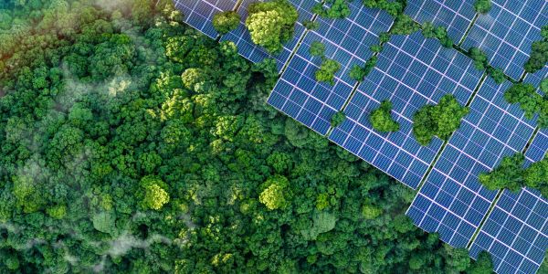 Forest merging with solar panels in aerial view.