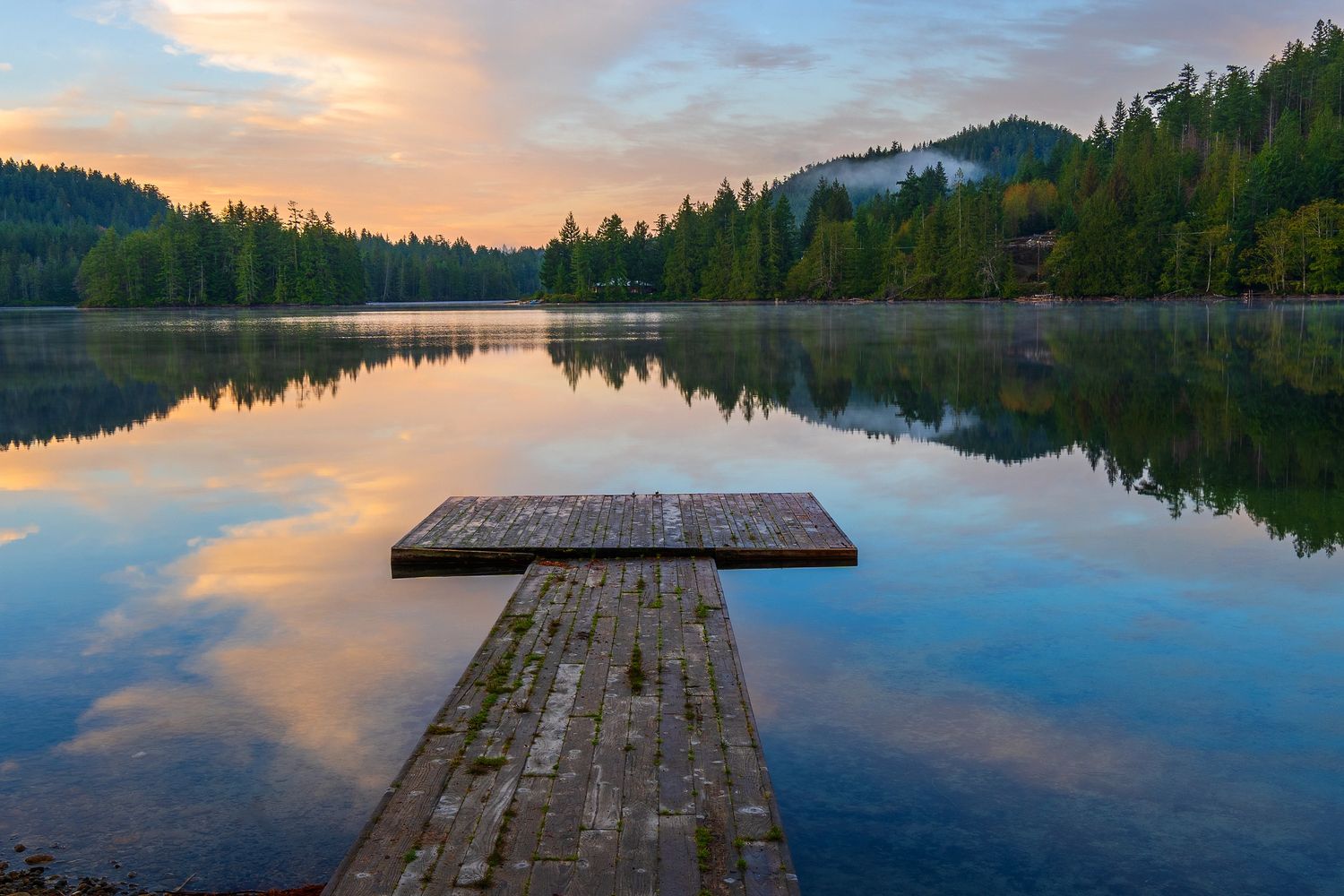 Medicina Alternativa CDMX y Cuernavaca