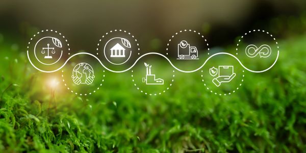 Icons representing sustainability and eco-friendly business practices over green moss.