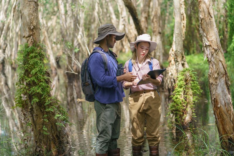 A male and female biologist uses binoculars and laptops to survey and document the diversity of plants and organisms in a peat swamp forest.