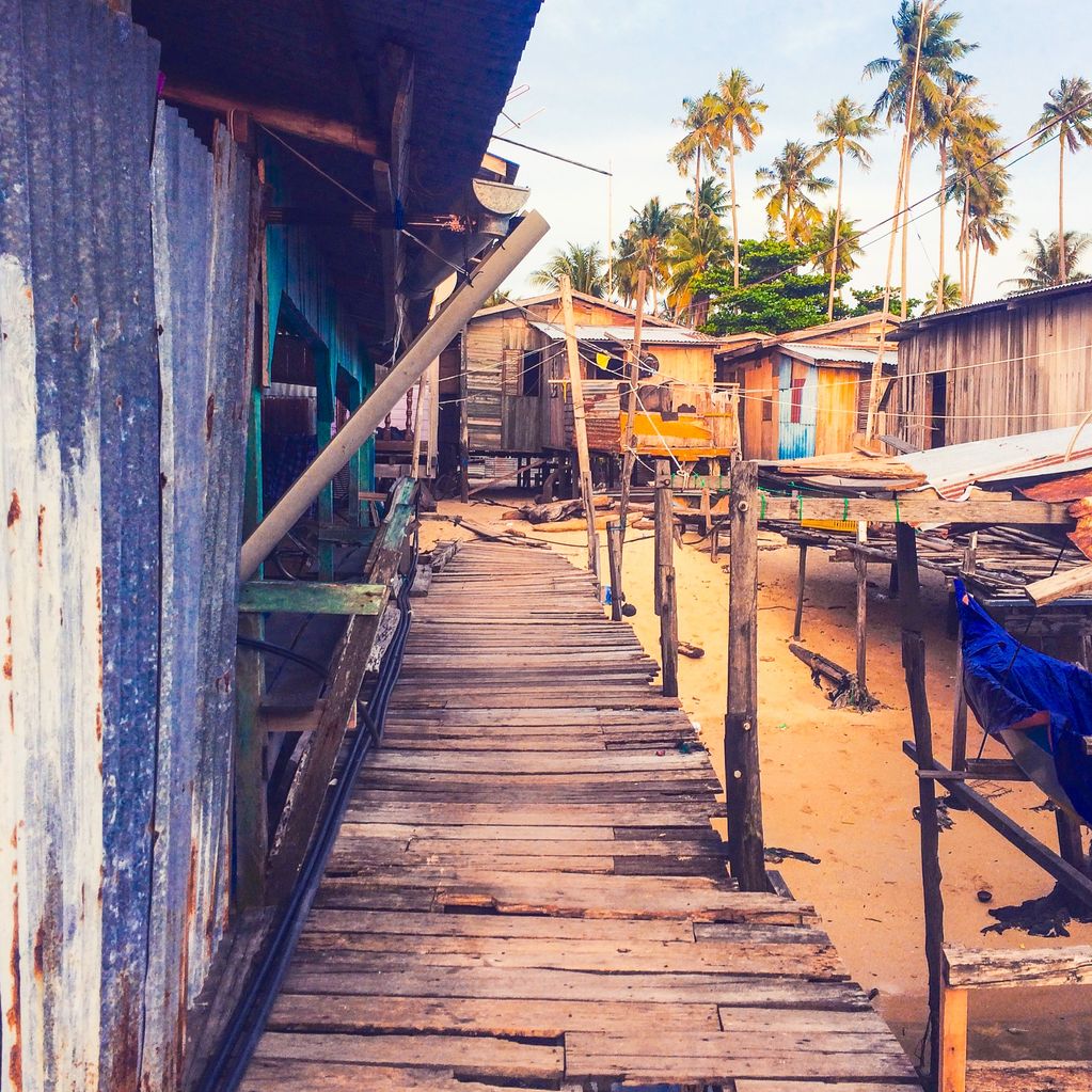 President 
Nirmala Rodrigo