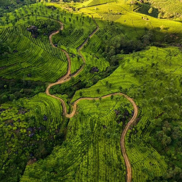 Drone photo of the layout and landscape of farmland property