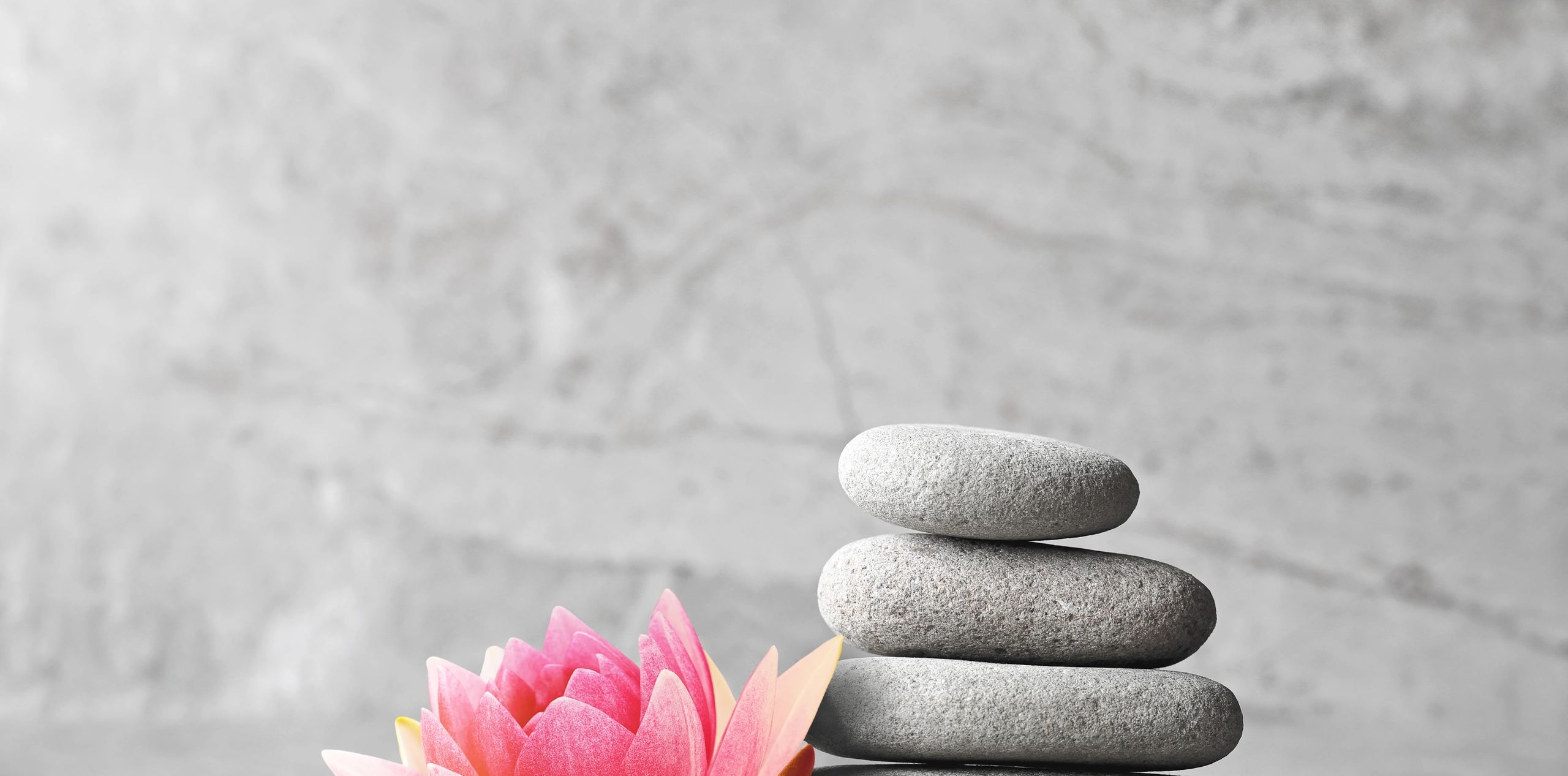Stacked gray stones beside a pink lotus flower on a gray background.