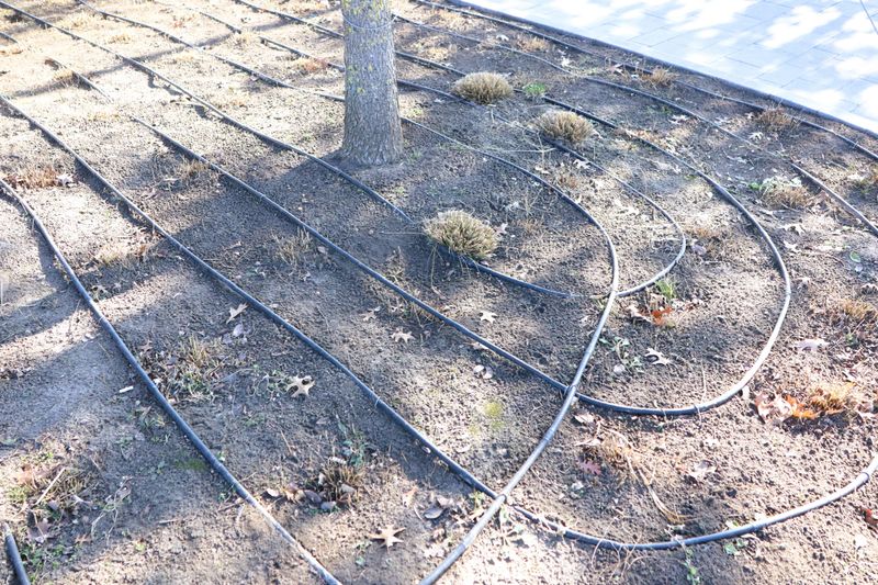 An aerial view shows a landscaped area with an efficient irrigation tubing system laid on bare soil