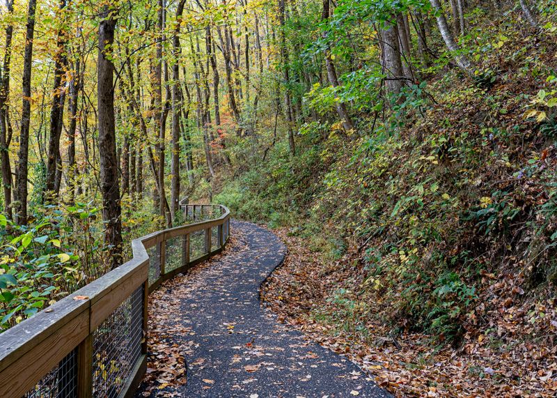 The West Ridge Falls Access Trail is an ADA-compliant pathway that leads to a scenic viewpoint of the waterfall. It is made of recycled tire material and has a wood handrail. Photographed in autumn.