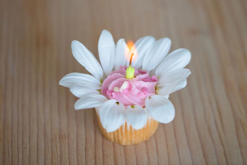 A cupcake with pink frosting and a lit candle surrounded by delicate white petals arranged on a wooden surface, creating a cozy and celebratory atmosphere