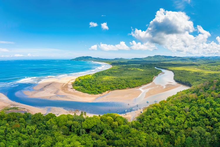 A scenic river bends through lush forest meeting the ocean under a bright blue sky.