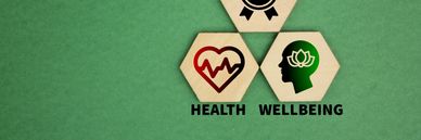 Joint Support Supplements