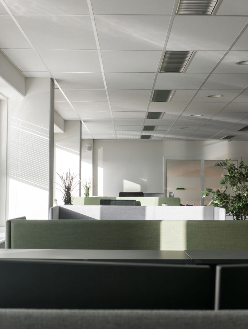 A bright and airy open-space office bathed in natural daylight, casting beautiful shadows. Lush plants add a touch of greenery. The perfect balance of modern design and nature in the workplace.