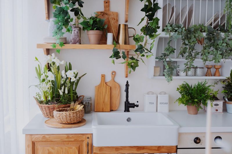 Bright kitchen features greenery, wooden shelves, and a rustic sink with decor items.