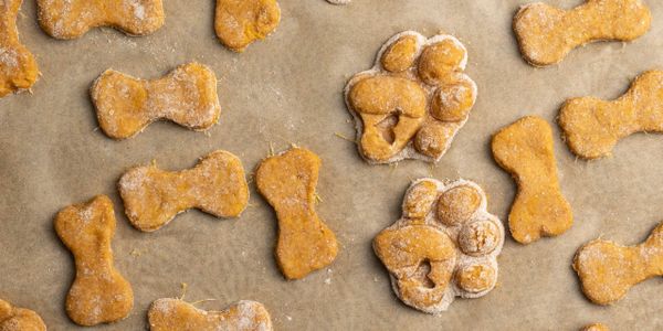 Raw dog-shaped and paw-shaped treats on baking paper.