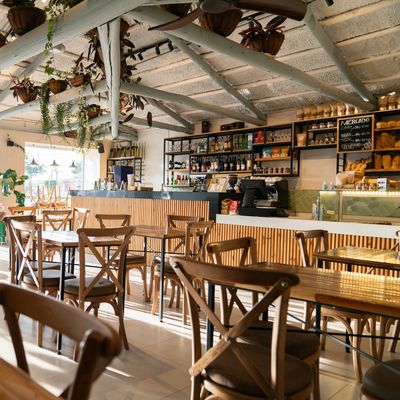 Bright and cozy café interior with wooden furniture and hanging plants.