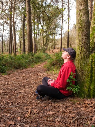 Person in red jacket meditating against a tree in a forest.