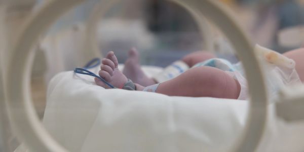 A newborn's feet in the ICU incubator. 