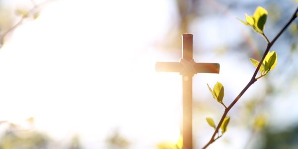 Wooden cross with sunlight and budding branch.
