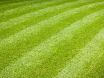 Lawn care and landscaping Bedminster, Bedminster, Warren, Basking Ridge, and Martins