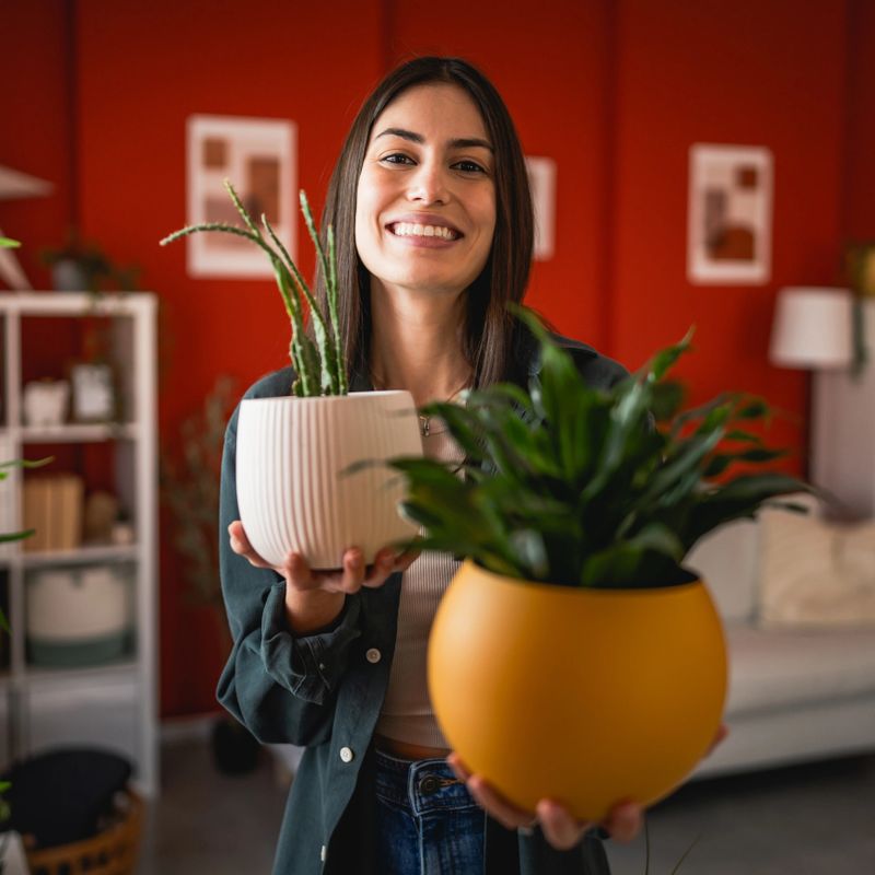 portrait of beautiful woman stand and hold flower pots at home