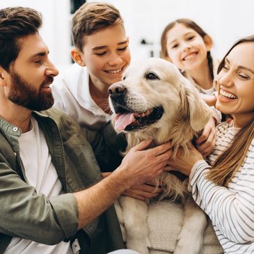 Comfortable Family