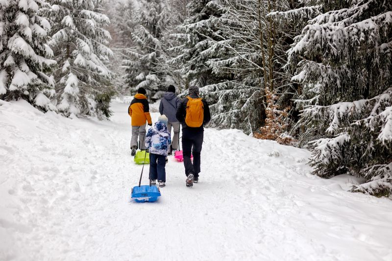 Sweet happy children, brothers, playing in deep snow in forest, frosted trees and beautiful landscape, sliding with plastic sledge