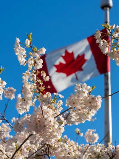 Canadian PR Card Expired? We Can Help