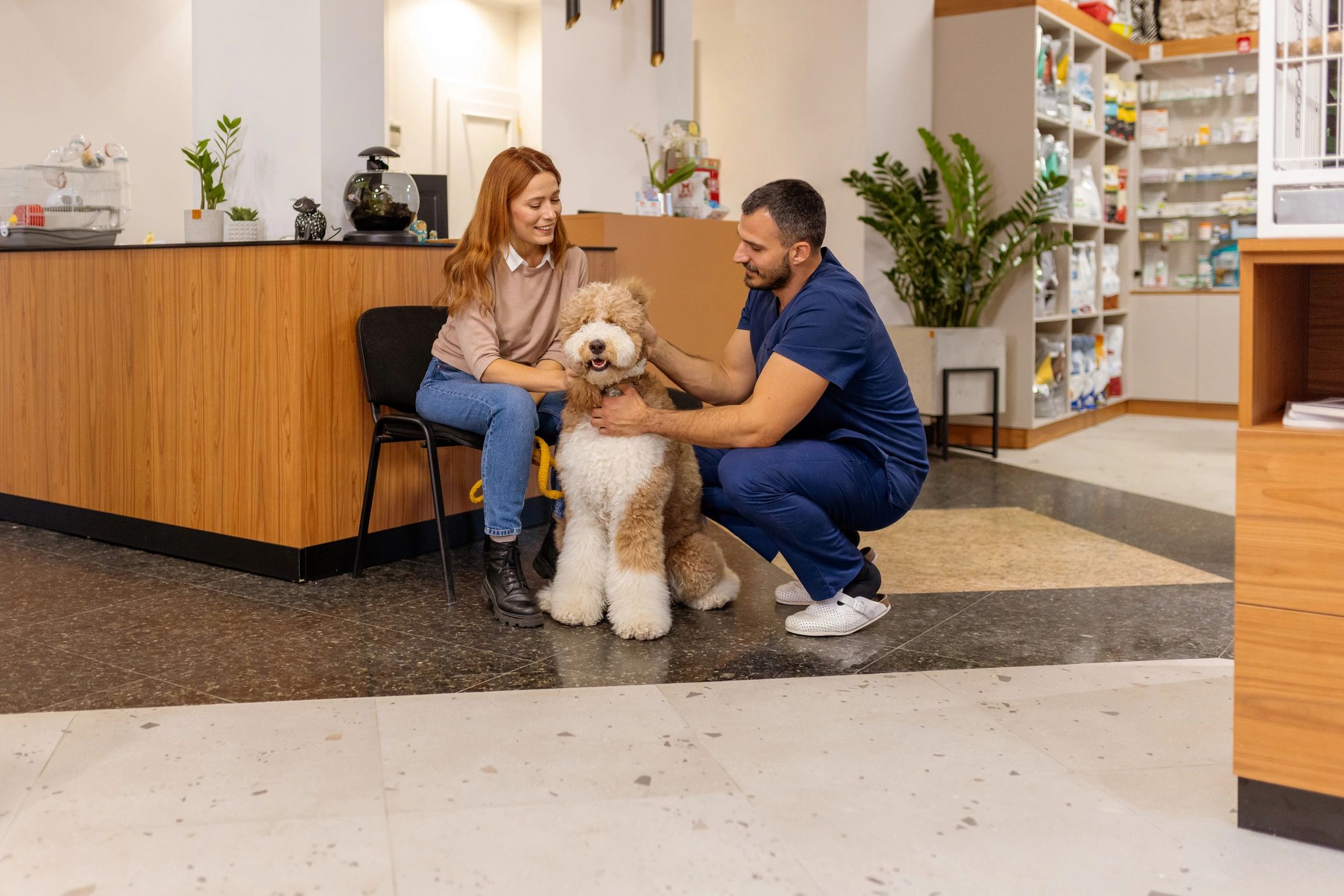 Veterinary Services | Vettest - Caring for Your Furry Friends