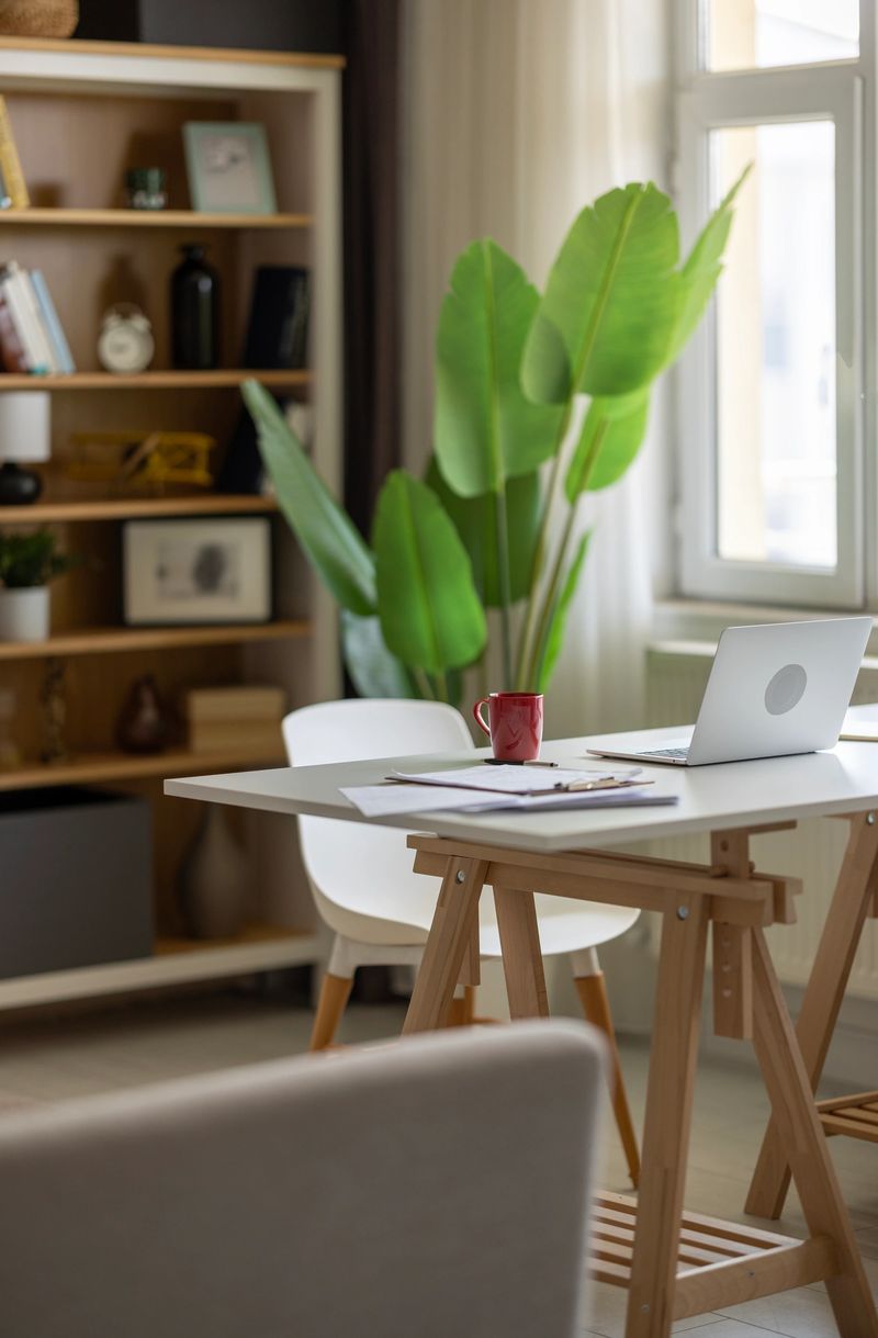 Bright modern office interior with laptop computer, houseplants, books and various office supplies on white table.