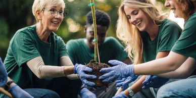 Group planting a young tree together.