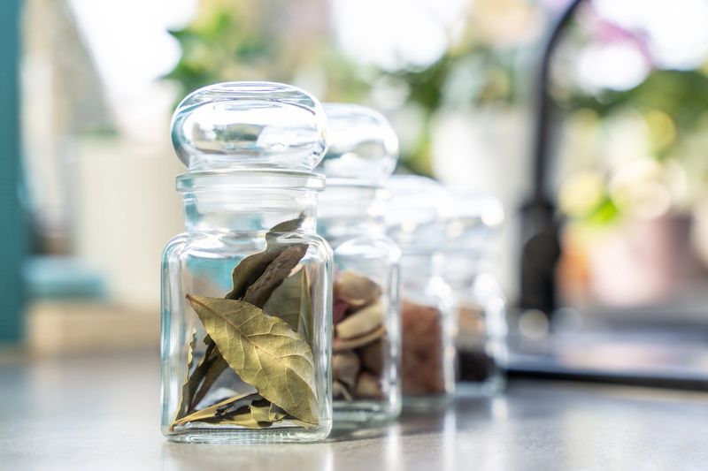 A row of glass spice jars containing dried herbs and spices, neatly arranged on a kitchen countertop with soft natural light.