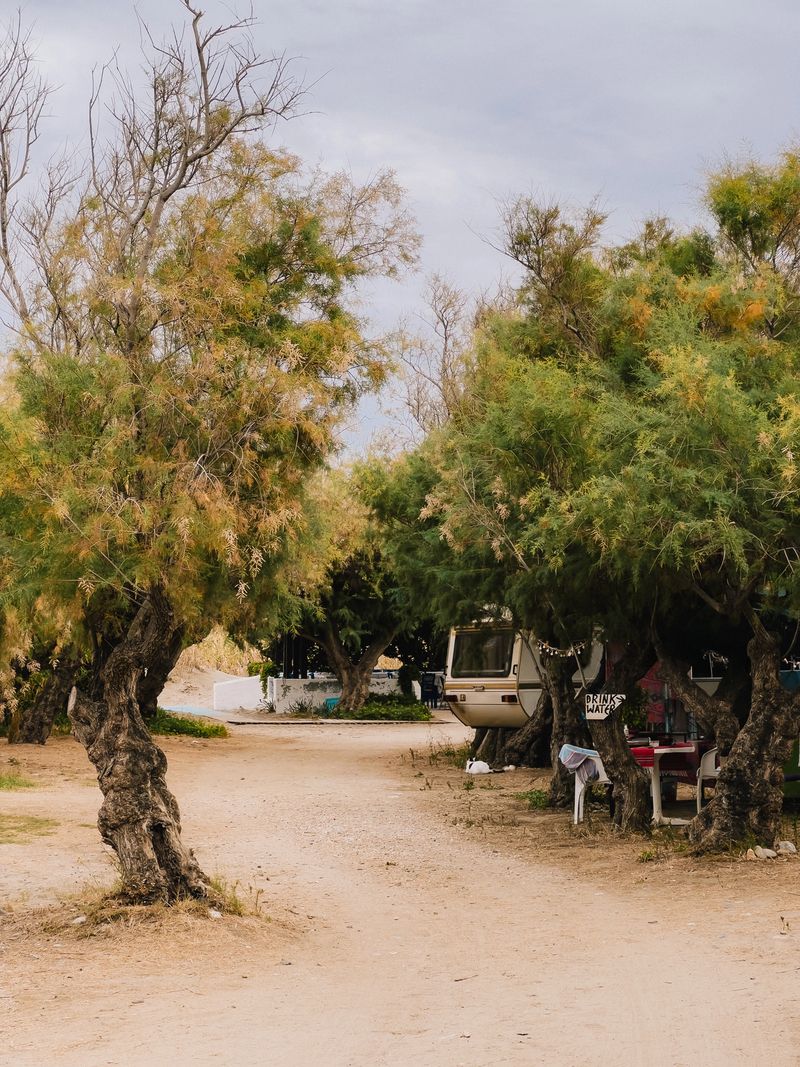 Camper trailer parked under trees. Camper trailer parked in serene campsite, nestled among trees, creating a peaceful and shaded retreat for vacationers seeking tranquility and connection with nature