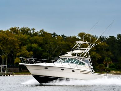 White motorboat speeding on water near green shoreline.