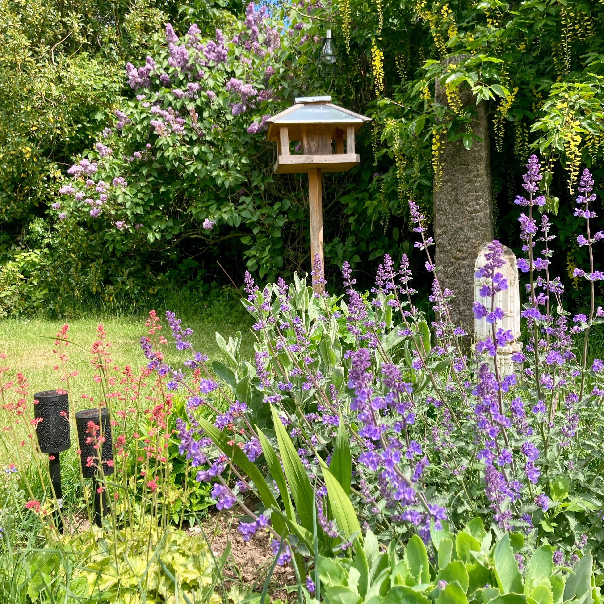 Colorful garden with purple flowers and a wooden birdhouse.