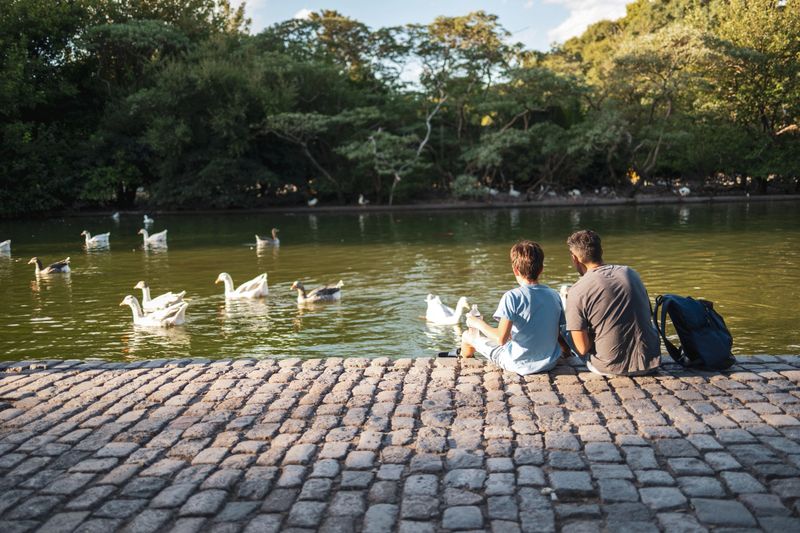 A tranquil scene of a father and son sitting near a lake feeding ducks, surrounded by nature's beauty, illustrating family bonding and peaceful outdoor moments in harmony with the environment.