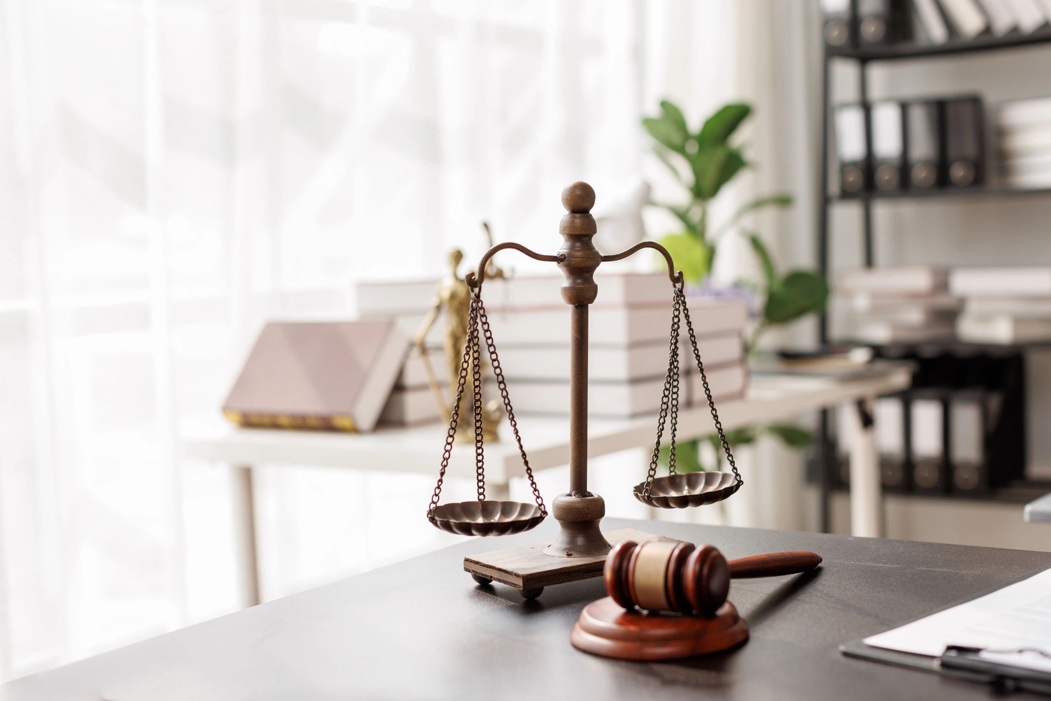Your Legal Document Assistant